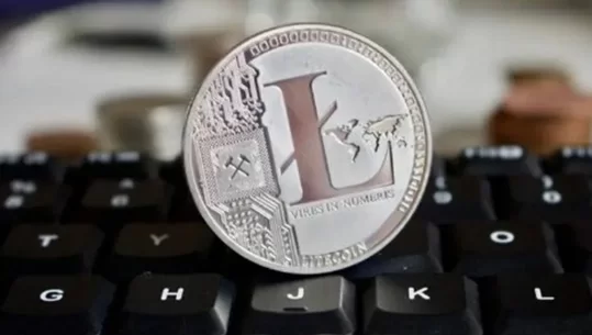 山寨币逆袭,狗狗币涨幅超30%引发关注